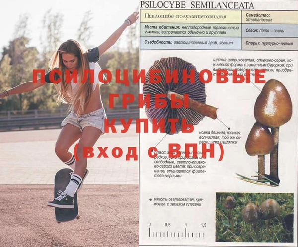 амфетамин Балабаново