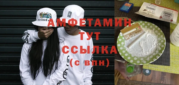 шишки Михайловск