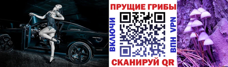 Псилоцибиновые грибы прущие грибы  Городище 