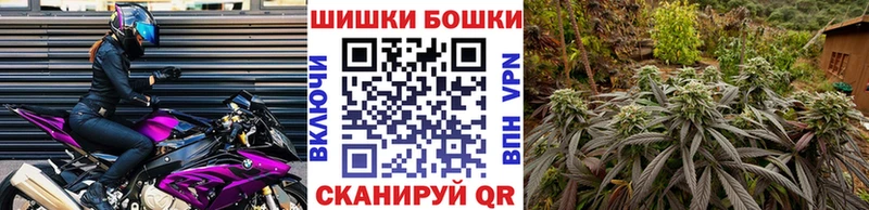 Конопля AK-47  Городище 